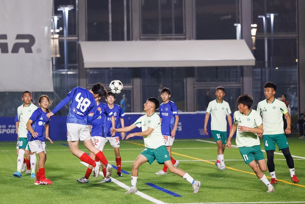 微信图片_20250211194346