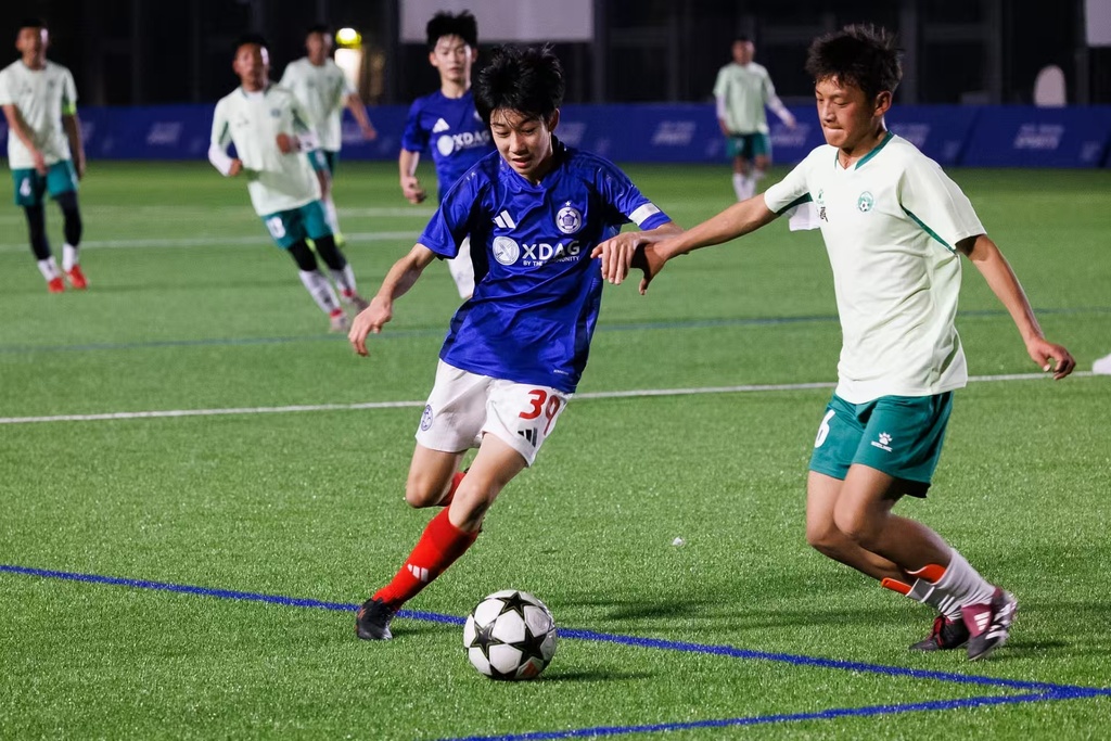 微信图片_20250211194355